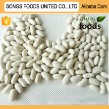 Белая фасоль Shell New Crop Company Songs Foods